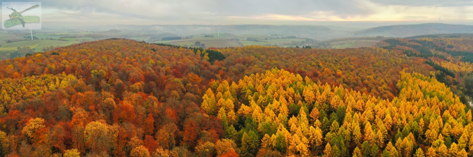 16Nov19-Eppelborn-Pan930